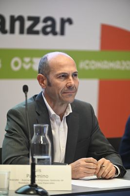 Luis Palomino Leal